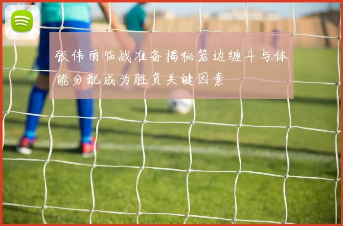 张伟丽临战准备揭秘笼边缠斗与体能分配成为胜负关键因素